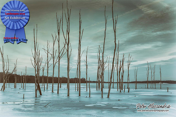 Landscape 2015 Manasquan
