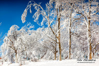 Niagara Falls winter