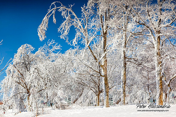 Niagara Falls winter
