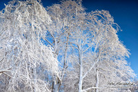 Niagara Falls winter