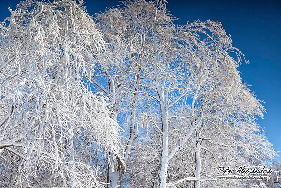 Niagara Falls winter