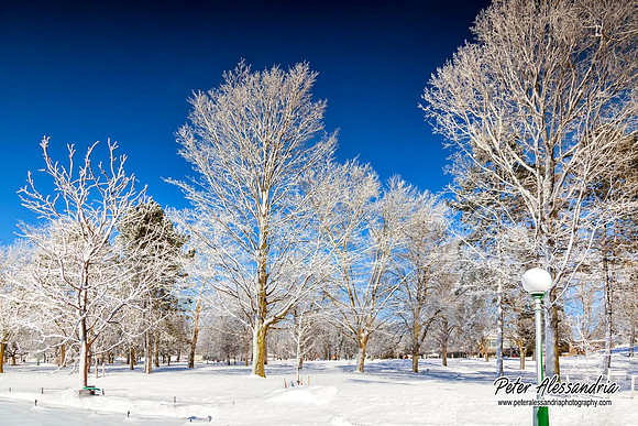 Niagara Falls winter