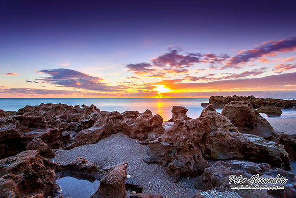 Coral Cove Beach Florida