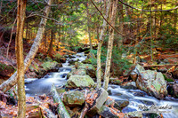 Ricketts Glen Waterfalls