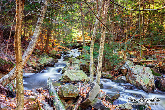 Ricketts Glen Waterfalls