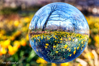 Crystal Ball