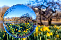 Crystal Ball