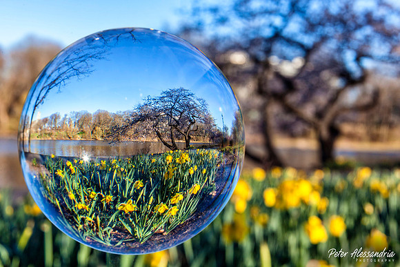 Crystal Ball