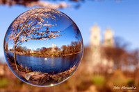 Crystal Ball