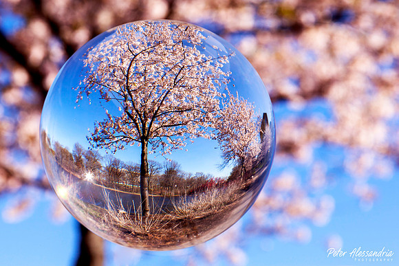Crystal Ball