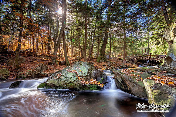 Ricketts Glen Waterfalls