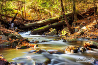 Ricketts Glen Waterfalls