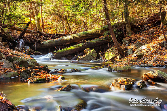 Ricketts Glen Waterfalls