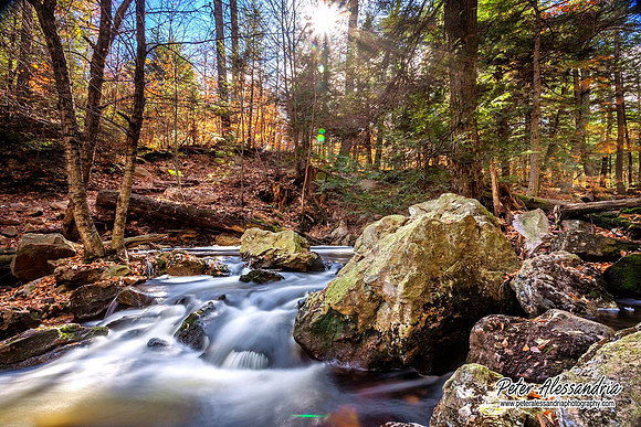 Ricketts Glen Waterfalls