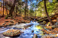 Ricketts Glen Waterfalls