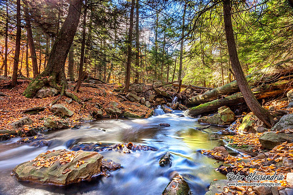 Ricketts Glen Waterfalls