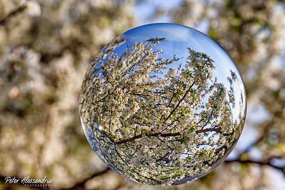 Crystal Ball