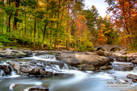 Autumn Colors