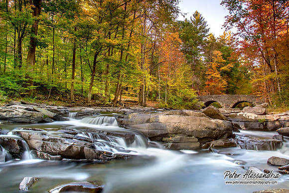 Autumn Colors