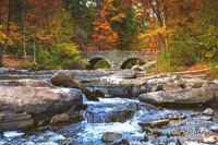 Autumn Colors