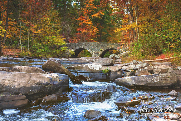 Autumn Colors
