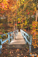 Fall Autumn Colors