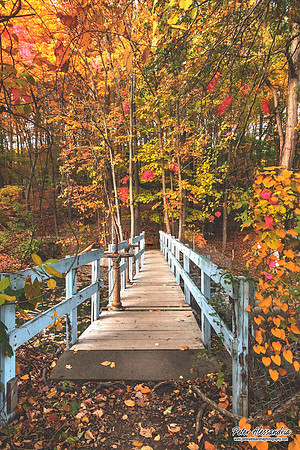 Fall Autumn Colors