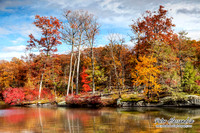 Fall Autumn Colors