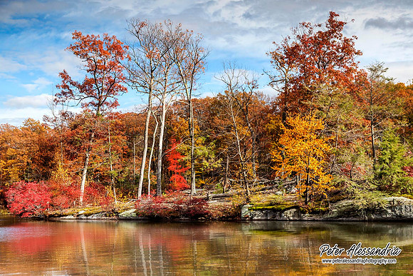 Fall Autumn Colors