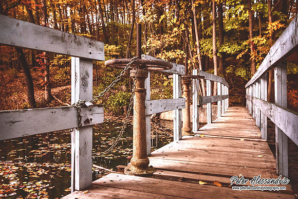 Fall Autumn Colors