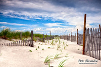 Summer Beach scenes sunset