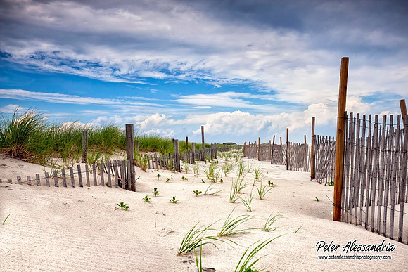 Summer Beach scenes sunset