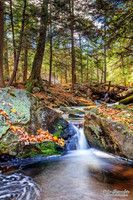 Ricketts Glen Waterfalls