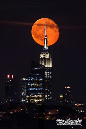 Buck Full Moon Over New York City