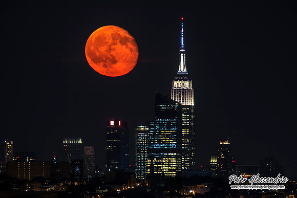 Buck Full Moon Over New York City