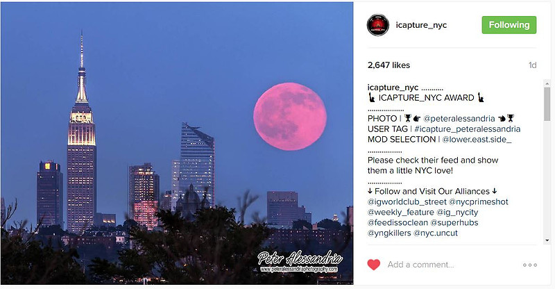 Instagram Photo of the Day 6-21-16