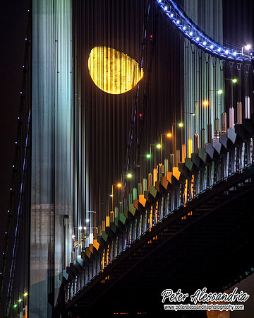Verrazano Moonrise