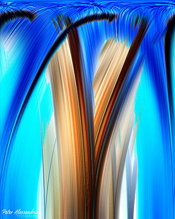 Abstract Photography