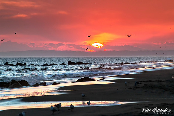 Coney Island Sunset