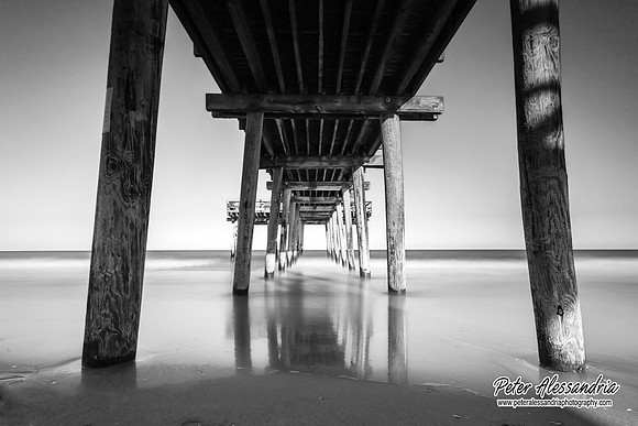 IMG_3728BW