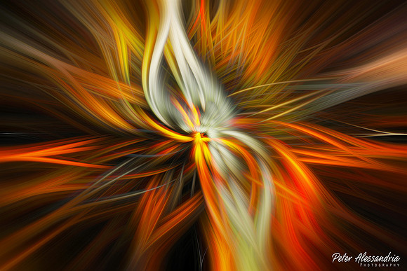 Abstract Photography