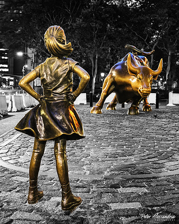 Fearless Girl Charging Bull