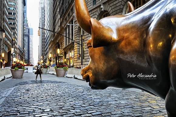 Fearless Girl Charging Bull