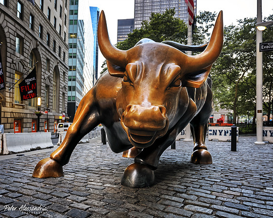 Fearless Girl Charging Bull