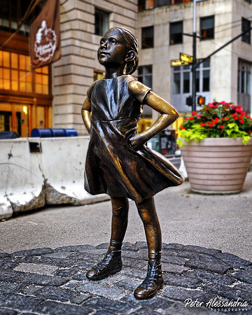 Fearless Girl Charging Bull