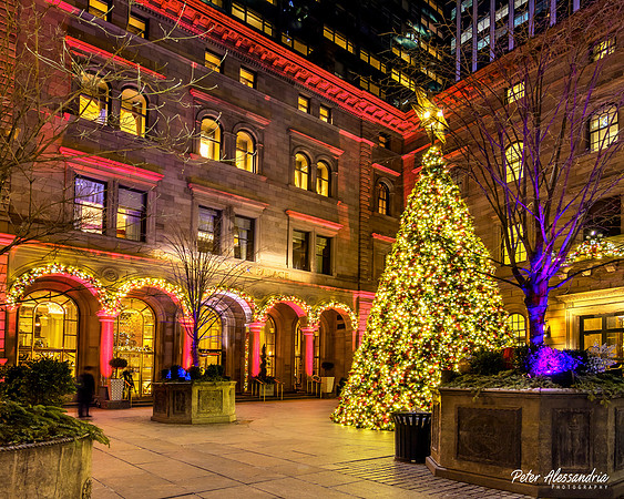 New York City Christmas Tree