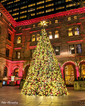 New York City Christmas Tree