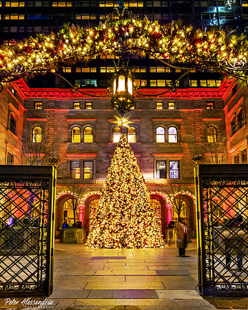 New York City Christmas Tree