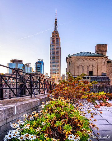 Empire State Building