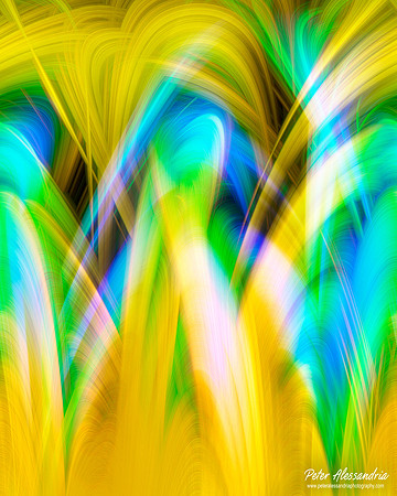 Abstract Photography